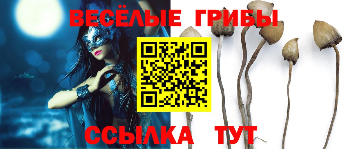 Галлюциногенные грибы MAGIC MUSHROOMS  Вход с VPN  Курск 